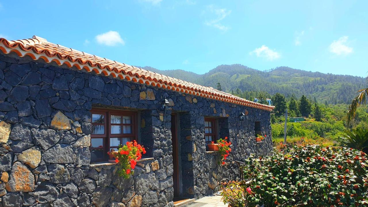 Climatized Pool Free Wifi Casa Rural Las Pareditas ติคาราเฟ ภายนอก รูปภาพ