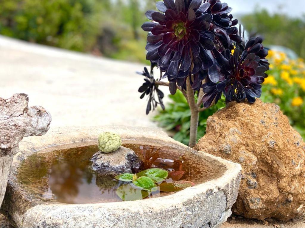 Climatized Pool Free Wifi Casa Rural Las Pareditas ติคาราเฟ ภายนอก รูปภาพ