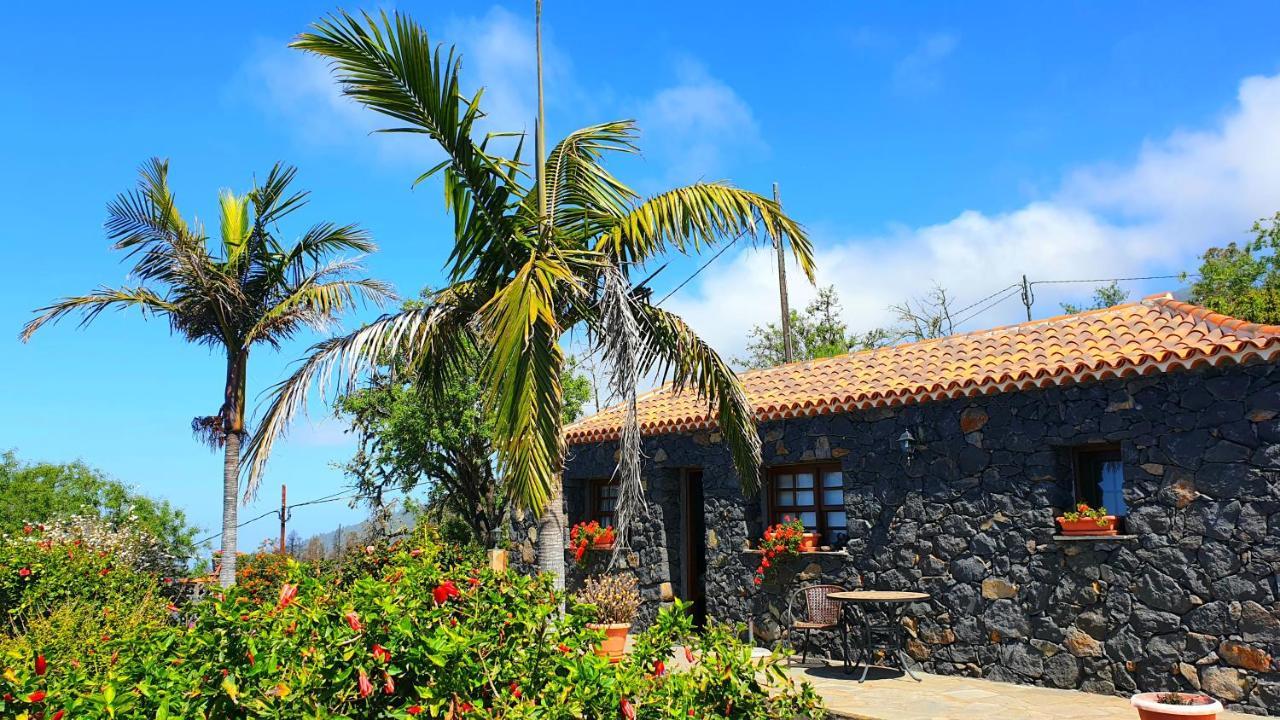 Climatized Pool Free Wifi Casa Rural Las Pareditas ติคาราเฟ ภายนอก รูปภาพ