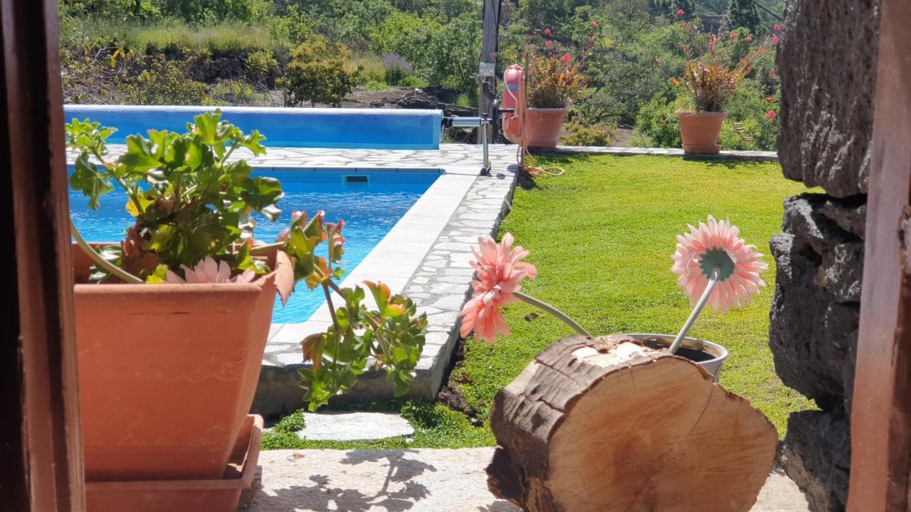 Climatized Pool Free Wifi Casa Rural Las Pareditas ติคาราเฟ ภายนอก รูปภาพ